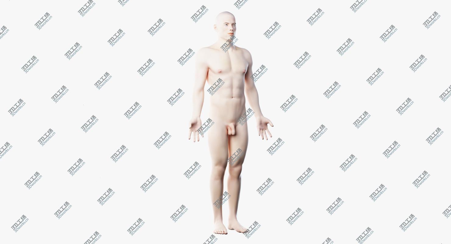 images/goods_img/202104022/Male Skin, Skeleton And Muscles Rigged 3D/4.jpg
